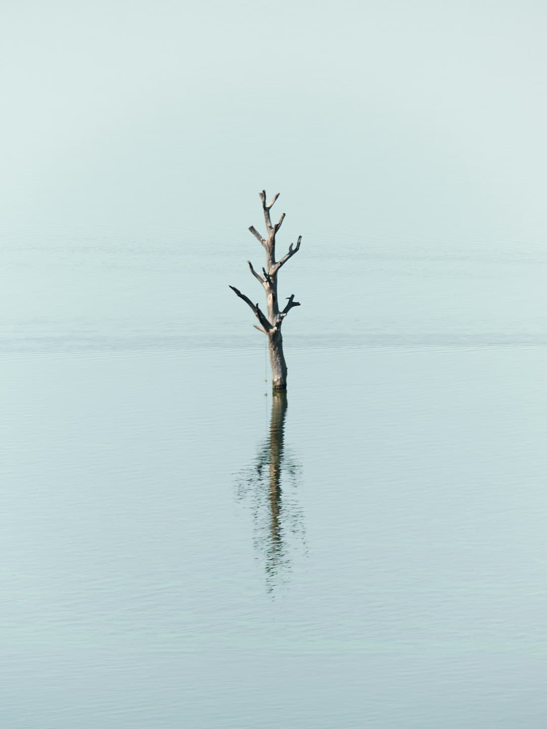Klára Benešová — Fotografie